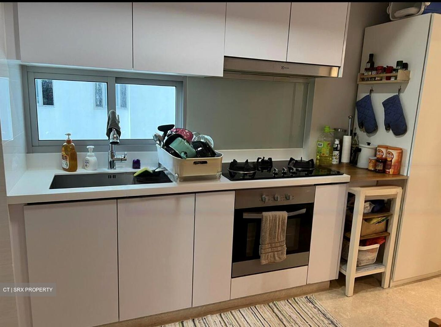 Eight Riversuites (D12), Condominium #463092241